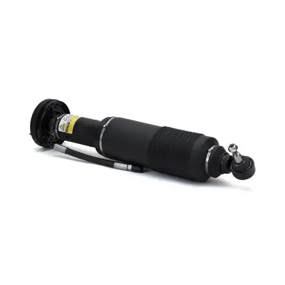 Luftfederbein vorne links Arnott SK-2413 Bild Luftfederbein vorne links Arnott SK-2413