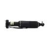 Luftfederbein vorne links Arnott SK-2413 Bild Luftfederbein vorne links Arnott SK-2413
