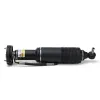 Luftfederbein vorne links Arnott SK-2418 Bild Luftfederbein vorne links Arnott SK-2418