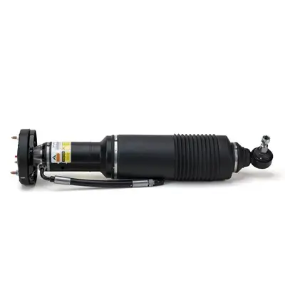 Luftfederbein vorne links Arnott SK-2418 Bild Luftfederbein vorne links Arnott SK-2418