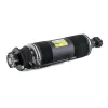 Luftfederbein hinten rechts Arnott SK-2419 Bild Luftfederbein hinten rechts Arnott SK-2419