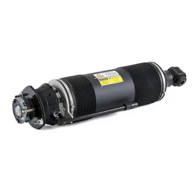 Luftfederbein hinten rechts Arnott SK-2419 Bild Luftfederbein hinten rechts Arnott SK-2419