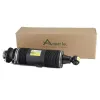 Luftfederbein hinten rechts Arnott SK-2419 Bild Luftfederbein hinten rechts Arnott SK-2419