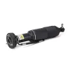 Luftfederbein vorne links Arnott SK-2471 Bild Luftfederbein vorne links Arnott SK-2471
