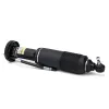 Luftfederbein vorne links Arnott SK-2471 Bild Luftfederbein vorne links Arnott SK-2471