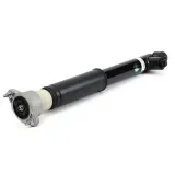 Stoßdämpfer Hinterachse Arnott SK-3059