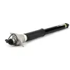 Stoßdämpfer Hinterachse Arnott SK-3391 Bild Stoßdämpfer Hinterachse Arnott SK-3391