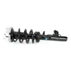 Stoßdämpfer Vorderachse links Arnott SK-3605 Bild Stoßdämpfer Vorderachse links Arnott SK-3605