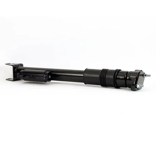 Stoßdämpfer Hinterachse Arnott SK-3612 Bild Stoßdämpfer Hinterachse Arnott SK-3612
