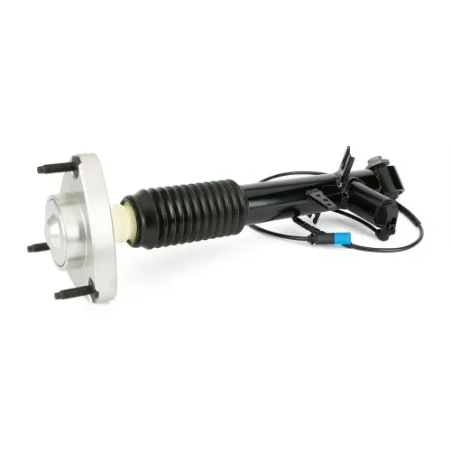 Stoßdämpfer Hinterachse links Arnott SK-3817 Bild Stoßdämpfer Hinterachse links Arnott SK-3817