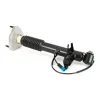 Stoßdämpfer Hinterachse links Arnott SK-3817 Bild Stoßdämpfer Hinterachse links Arnott SK-3817