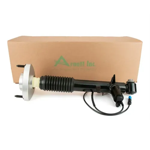 Stoßdämpfer Hinterachse links Arnott SK-3817 Bild Stoßdämpfer Hinterachse links Arnott SK-3817