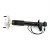 Stoßdämpfer Hinterachse links Arnott SK-3817 Bild Stoßdämpfer Hinterachse links Arnott SK-3817