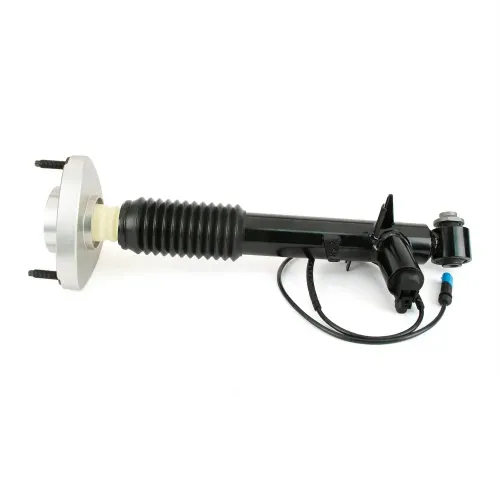 Stoßdämpfer Hinterachse links Arnott SK-3817 Bild Stoßdämpfer Hinterachse links Arnott SK-3817