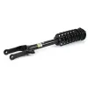 Stoßdämpfer Vorderachse Arnott SK-3978 Bild Stoßdämpfer Vorderachse Arnott SK-3978