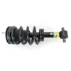 Stoßdämpfer Vorderachse Arnott SK-4315 Bild Stoßdämpfer Vorderachse Arnott SK-4315