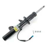 Stoßdämpfer Vorderachse links Arnott SK-5085