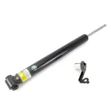 Stoßdämpfer Hinterachse rechts Arnott SK-5639