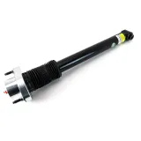 Stoßdämpfer Hinterachse Arnott SKE-5713