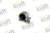 Lagerung, Motor vorne KRAFT AUTOMOTIVE 1491810
