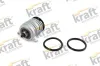 Wasserpumpe, Motorkühlung KRAFT AUTOMOTIVE 1500440