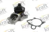 Wasserpumpe, Motorkühlung KRAFT AUTOMOTIVE 1502650