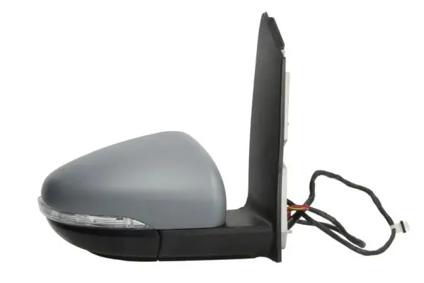 Außenspiegel rechts BLIC 5402-01-1841311P