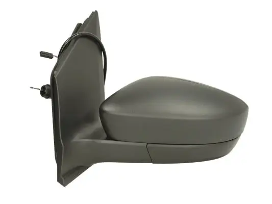 Außenspiegel links BLIC 5402-01-2002563P