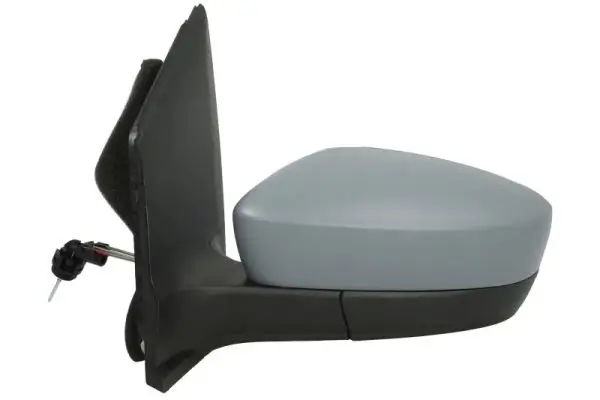Außenspiegel links BLIC 5402-01-2002565P