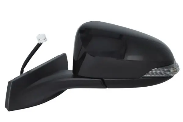 Außenspiegel links BLIC 5402-01-2002569P