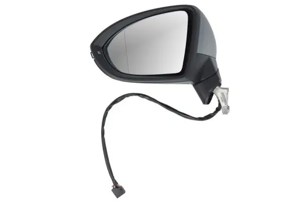 Außenspiegel links BLIC 5402-01-1617312P