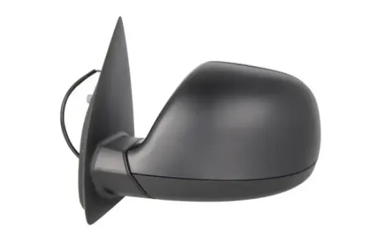 Außenspiegel links BLIC 5402-01-2002565P Bild Außenspiegel links BLIC 5402-01-2002565P