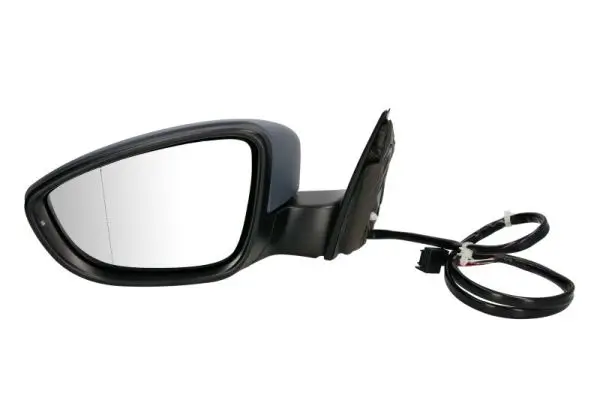 Außenspiegel links BLIC 5402-01-2002671P