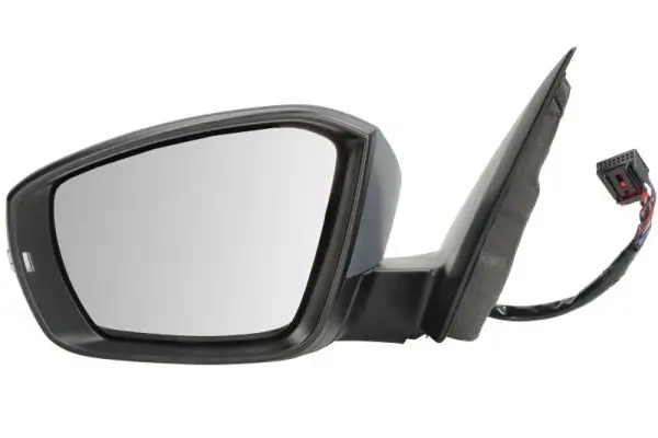 Außenspiegel links BLIC 5402-01-2339314P