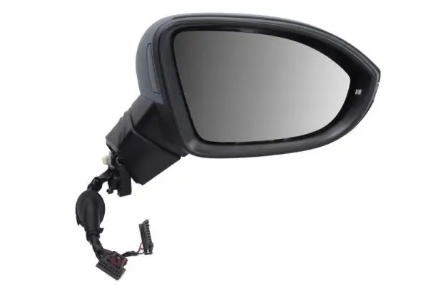 Gehäuse, Außenspiegel rechts BLIC 5402-02-2247313P