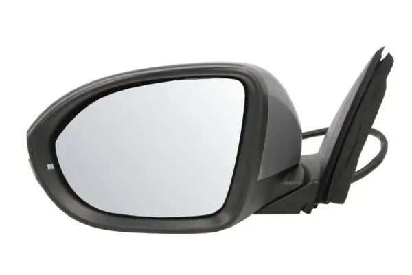 Außenspiegel links BLIC 5402-01-2542312P