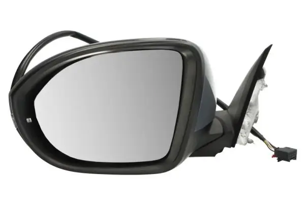 Außenspiegel links BLIC 5402-01-2555310P