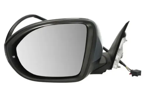 Außenspiegel links BLIC 5402-01-2555310P Bild Außenspiegel links BLIC 5402-01-2555310P