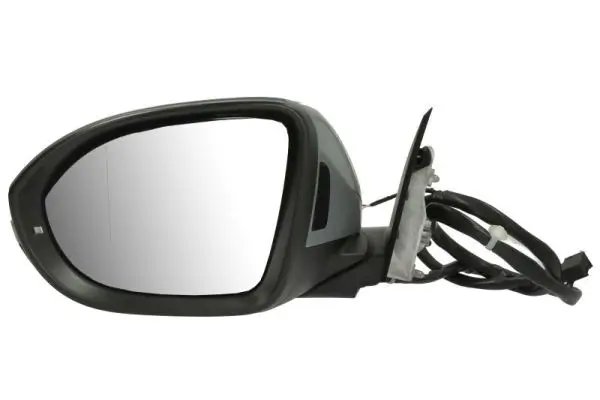 Außenspiegel links BLIC 5402-01-2555314P