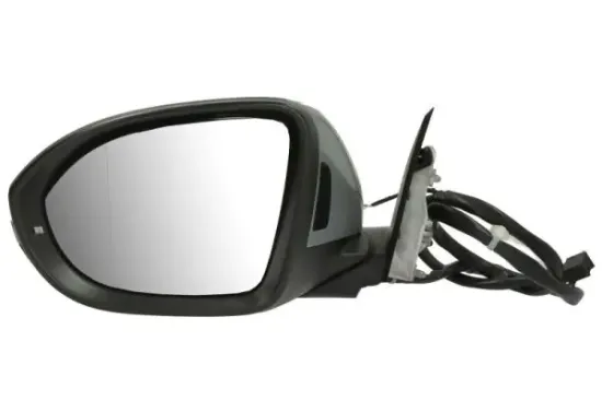 Außenspiegel links BLIC 5402-01-2555314P Bild Außenspiegel links BLIC 5402-01-2555314P