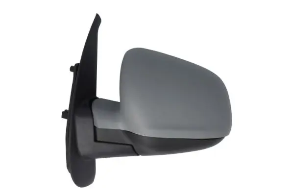 Außenspiegel links BLIC 5402-03-2001183P