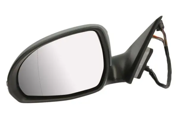 Außenspiegel links BLIC 5402-02-2475312P