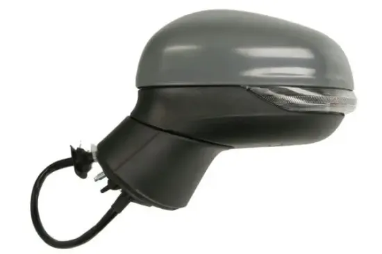 Außenspiegel links BLIC 5402-03-1892363P Bild Außenspiegel links BLIC 5402-03-1892363P