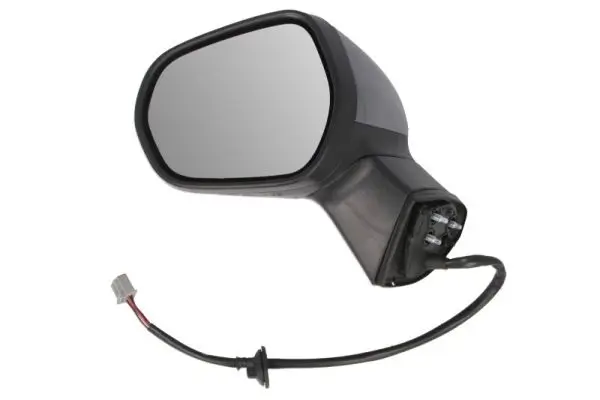 Außenspiegel links BLIC 5402-03-2326312P