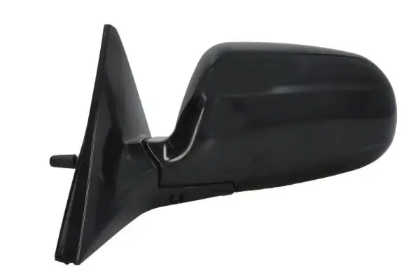 Außenspiegel links BLIC 5402-04-1121212P