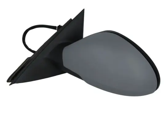 Außenspiegel links BLIC 5402-04-1112892P Bild Außenspiegel links BLIC 5402-04-1112892P