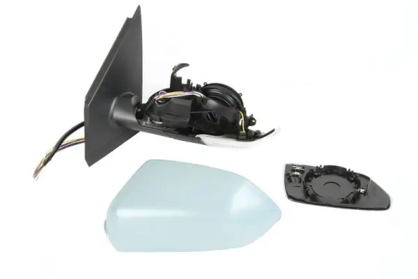 Außenspiegel links BLIC 5402-04-1113111P