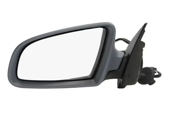 Außenspiegel links BLIC 5402-04-1119590P