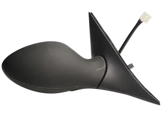 Außenspiegel links BLIC 5402-04-1125131