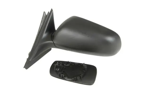 Außenspiegel links BLIC 5402-04-1125593